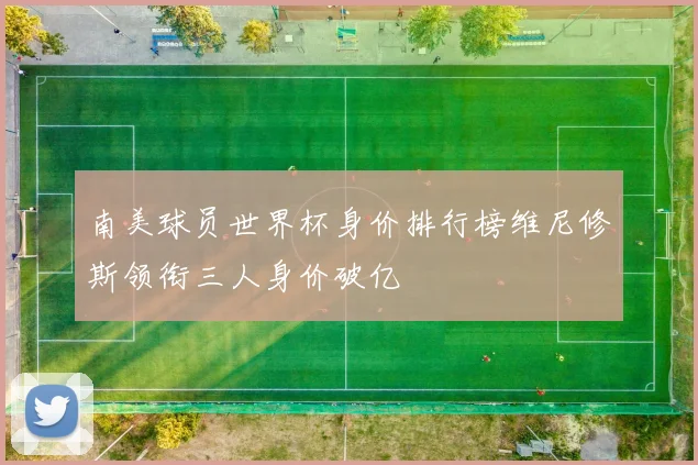 南美球员世界杯身价排行榜维尼修斯领衔三人身价破亿