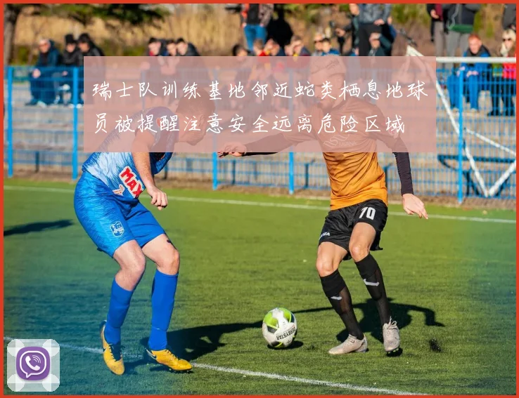 瑞士队训练基地邻近蛇类栖息地球员被提醒注意安全远离危险区域